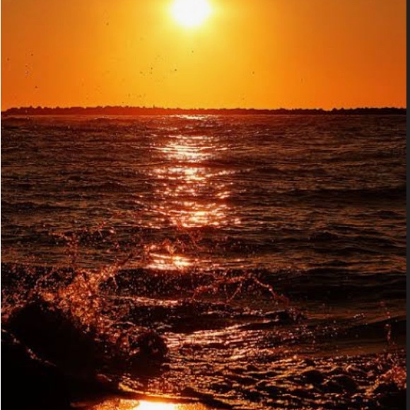 Meet your Posher. - Picture 1 of 1